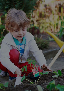 kid planting tree